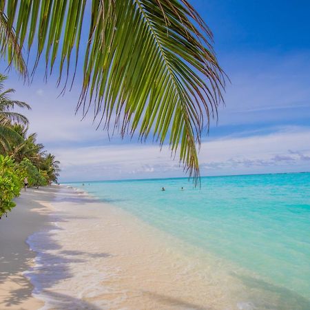 Jeym Lodge ثودو المظهر الخارجي الصورة